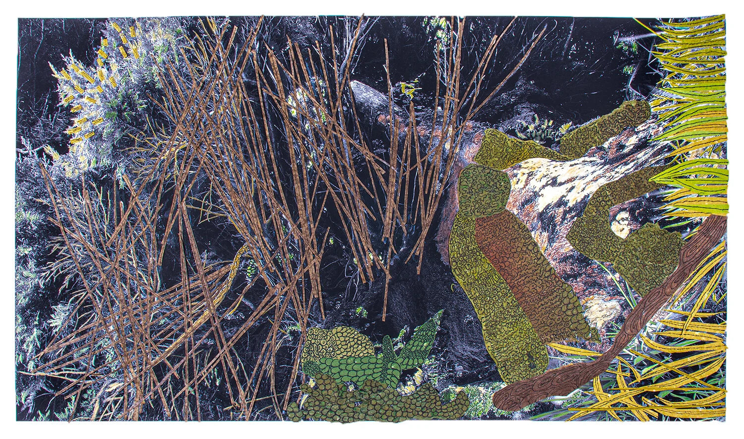 Forest by Nancy Eastman