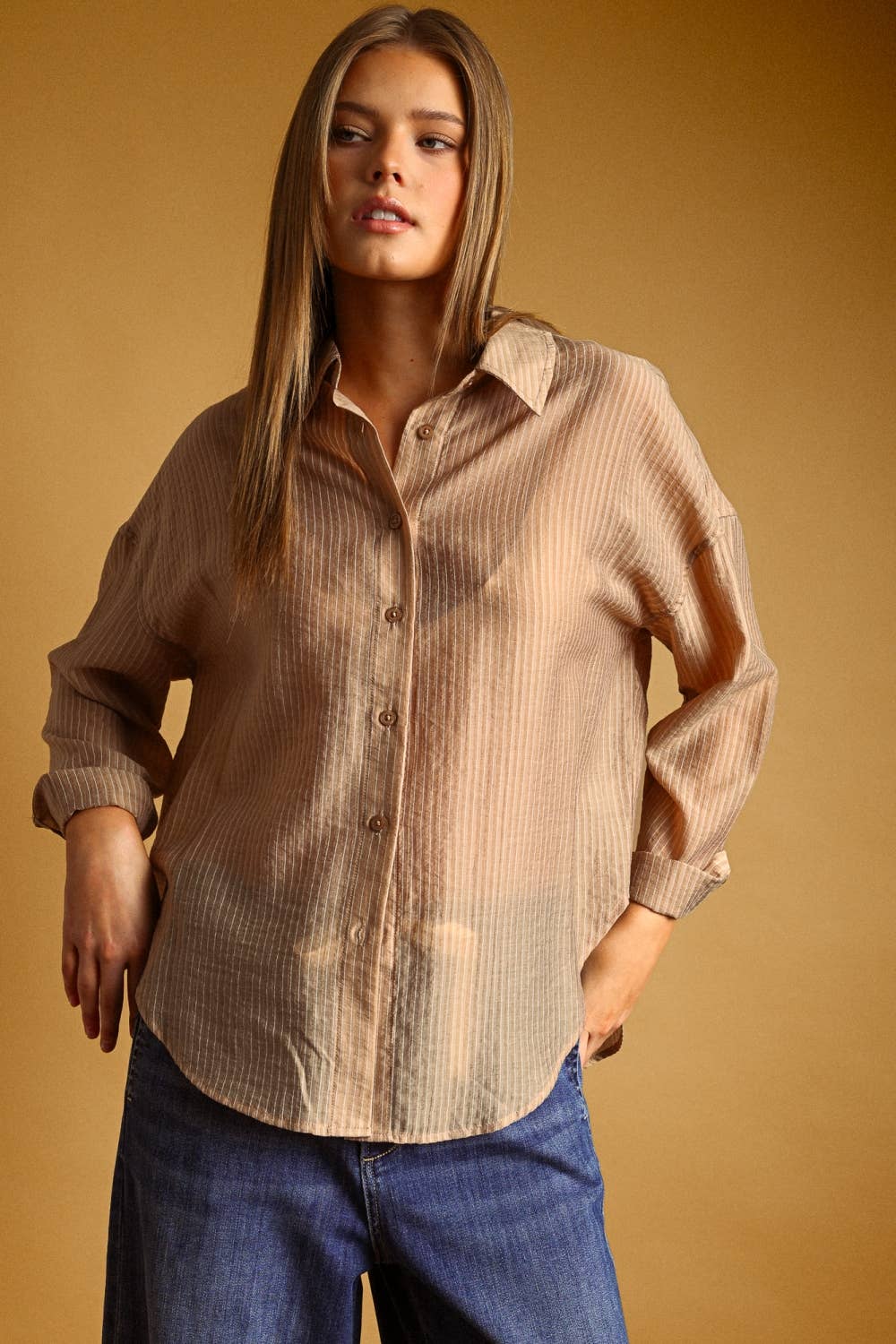 Pin Striped Sheer Shirt