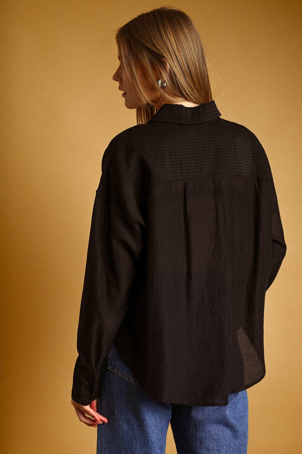 Pin Striped Sheer Shirt