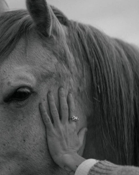 Chevalier Silver by Elise Estelle